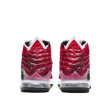 lebron-xvii-rozmiar-425