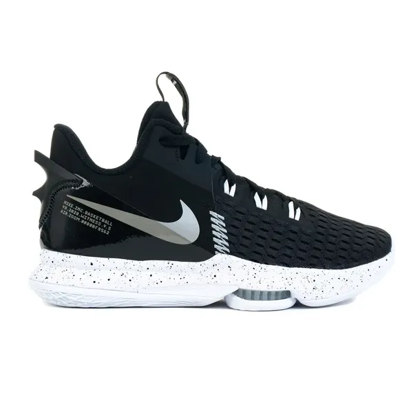 lebron-witness-5