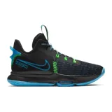 lebron-witness-v