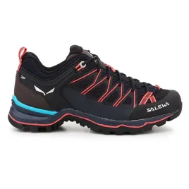 ws-mtn-trainer-lite