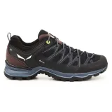 ms-mtn-trainer-lite-gtx