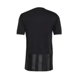 striped-21-kod-producenta-gn7625