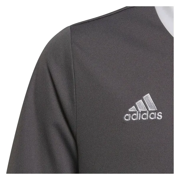 entrada-22-jsy-marka-adidas