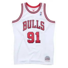 nba-chicago-bulls-dennis-rodman-swingman