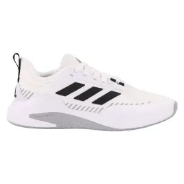 trainer-v