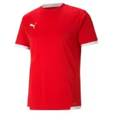 teamliga-jersey