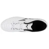 p1ga242509-marka-mizuno