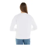 dw0dw17325ybr-kod-producenta-dw0dw17325ybr