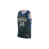 nba-giannis-antetokounmpo-select-marka-nike