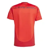 bayern-monachium-home-kod-producenta-it8511