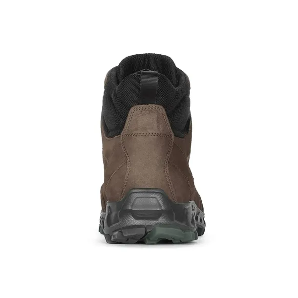 coldai-nbk-gtx-kod-producenta-350050