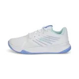 accelerate-pro-ii