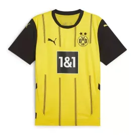 bvb-home