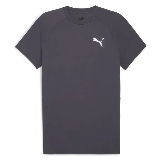 evostripe-tee