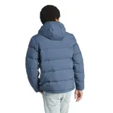 helionic-marka-adidas