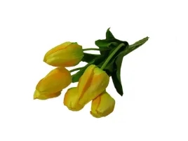 6-tulipanow-wiazka-bukiet-zolte-tulipany