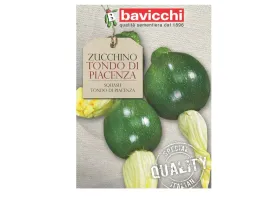 cukinia-tondo-di-piacenza-wczesna-odmiana-nasiona-bavicchi