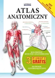 atlas-anatomiczny-zespol