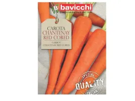 marchew-chantenay-red-cored-slodka-nasiona-bavicchi