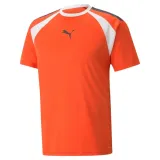 teamliga