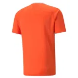 teamliga-marka-puma-rozmiar-m