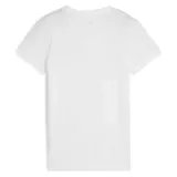 ess-logo-lab-tee-marka-puma