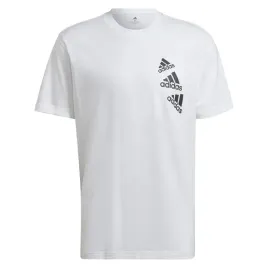 m-q4-bl-t