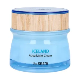 saem-iceland-aqua-moist-cream