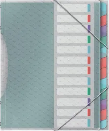 esselte-a4-teczka-segregujaca-organizer-z-gumka-12-przekladek-626256
