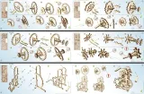 ugears-mechanical-model-puzzle-3d-dynamometer-48-pcs-plec-chlopcy-dziewczynki