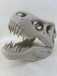 czaszka-dinozaura-t-rexa-xxl