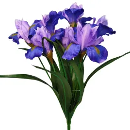 bukiet-irysow-fioletowo-niebieski-51-cm-hortens