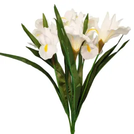 bukiet-irysow-kremowych-elegancja-w-kazdym-detalu