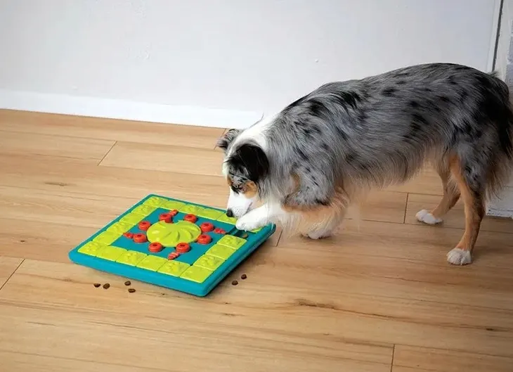 gra-nina-ottosson-dog-multipuzzle-69663-marka-nina-ottosson-stan-nowy