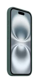 apple-silikonowe-etui-z-magsafe-do-iphonea-16-gorskie-jezioro