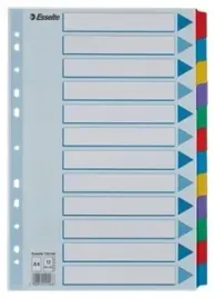 przekladki-esselte-mylar-karton-karta-opisowa-a4