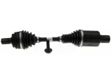 polos-przod-lewa-lobro-306799