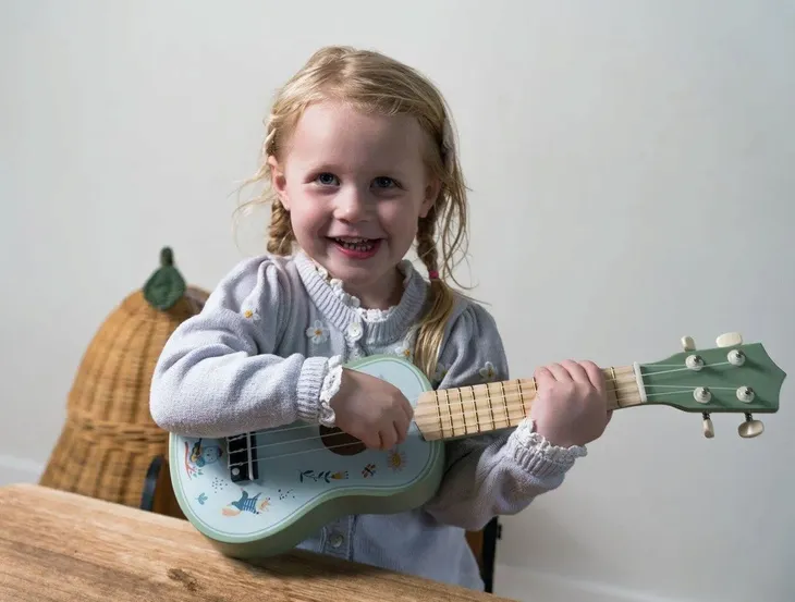gitara-akustyczna-dla-dzieci-dantoy-rodzaj-gitara