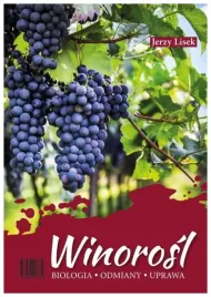 winorosl-biologia-odmiany-uprawa-lisek-jerzy