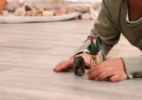 schleich-81476-figurka-dla-dzieci