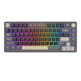 klawiatura-mechaniczna-rk-m75-80percent-75percent-wireless-24g-hot-swap-phantom-silver