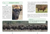 polska-naj-przyroda-typ-publikacji-przewodnik