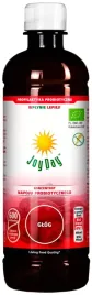 koncentrat-napoju-probiotycznego-glog-bezglutenowy-bio-500-ml-joy-day