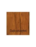 witryna-crw-7-2-dab-stuletni-system-carmen-stan-nowy
