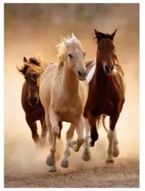 puzzle-1000-hq-biegnace-konie-clementoni-39168