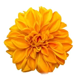dalia-wyrobowa-tt-yellow