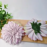 dalia-wyrobowa-lt-violet-stan-nowy