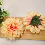 dalia-wyrobowa-salmon-stan-nowy