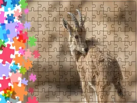 puzzle-tradycyjne-zwierzeta-kozica-producent