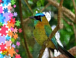 puzzle-tradycyjne-zwierzeta-ptak-producent